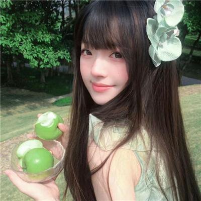 楚留香新传之鹦鹉传奇